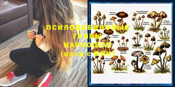 кокс Бородино