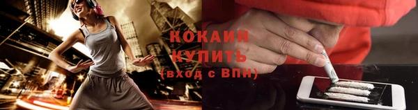 кокс Бородино