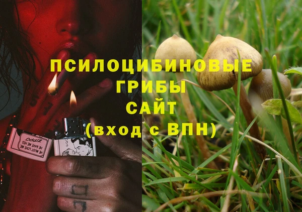героин Бронницы