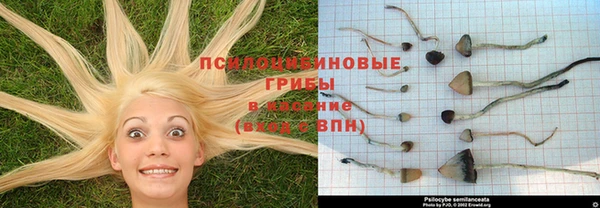 кокс Бородино