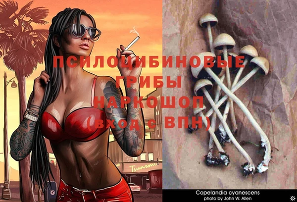 кокс Бородино