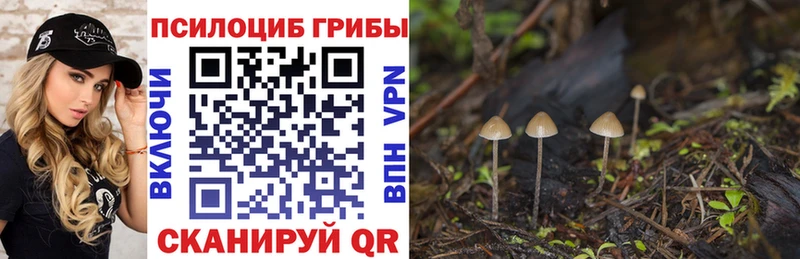Галлюциногенные грибы Psilocybine cubensis  Купить  Бугульма 